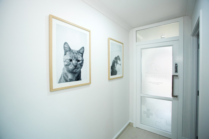 image of the inside of the vet clinic and the door signage