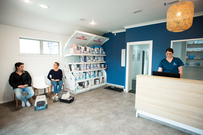 image of Pohutukawa Coast Vets clinic