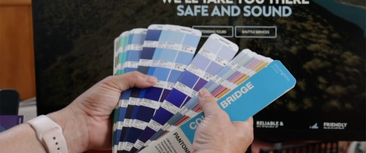 colour swatches up against website